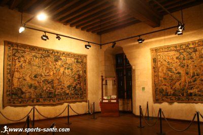 Photo de la forteresse d'Angers